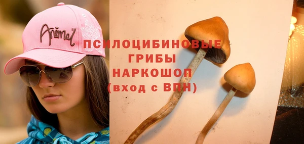 МДПВ Алексин