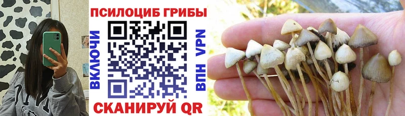 Псилоцибиновые грибы ЛСД гидра вход Гвардейск